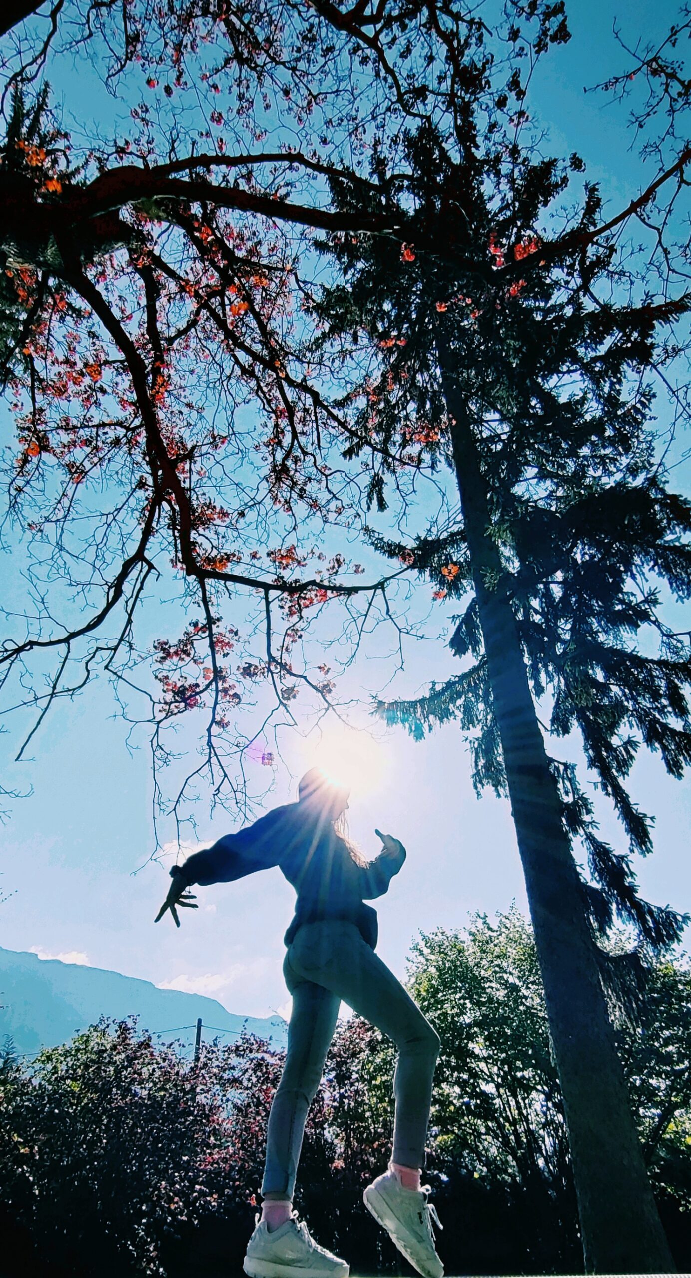 {{brizy_dc_image_alt imageSrc=