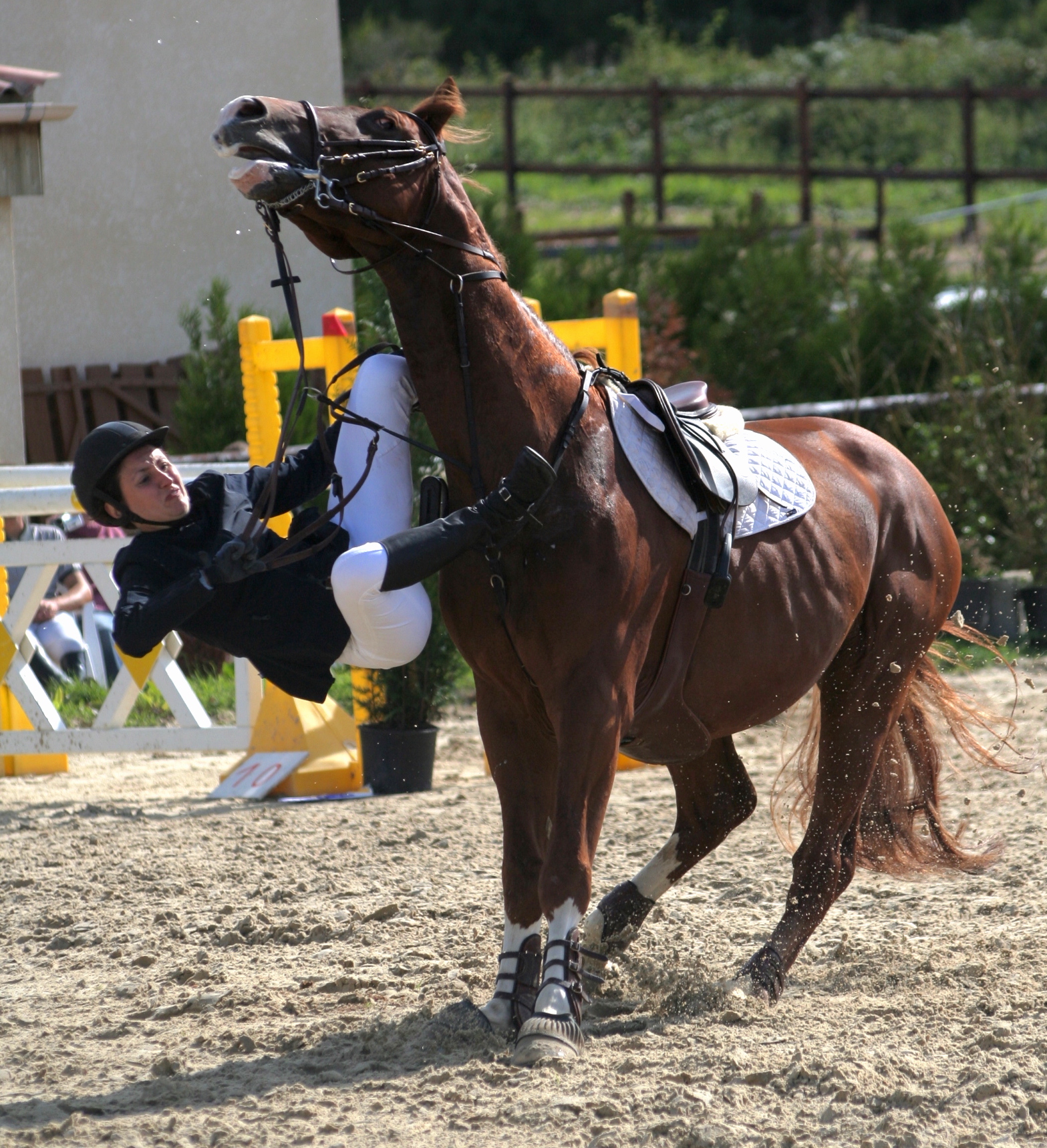 {{brizy_dc_image_alt imageSrc=