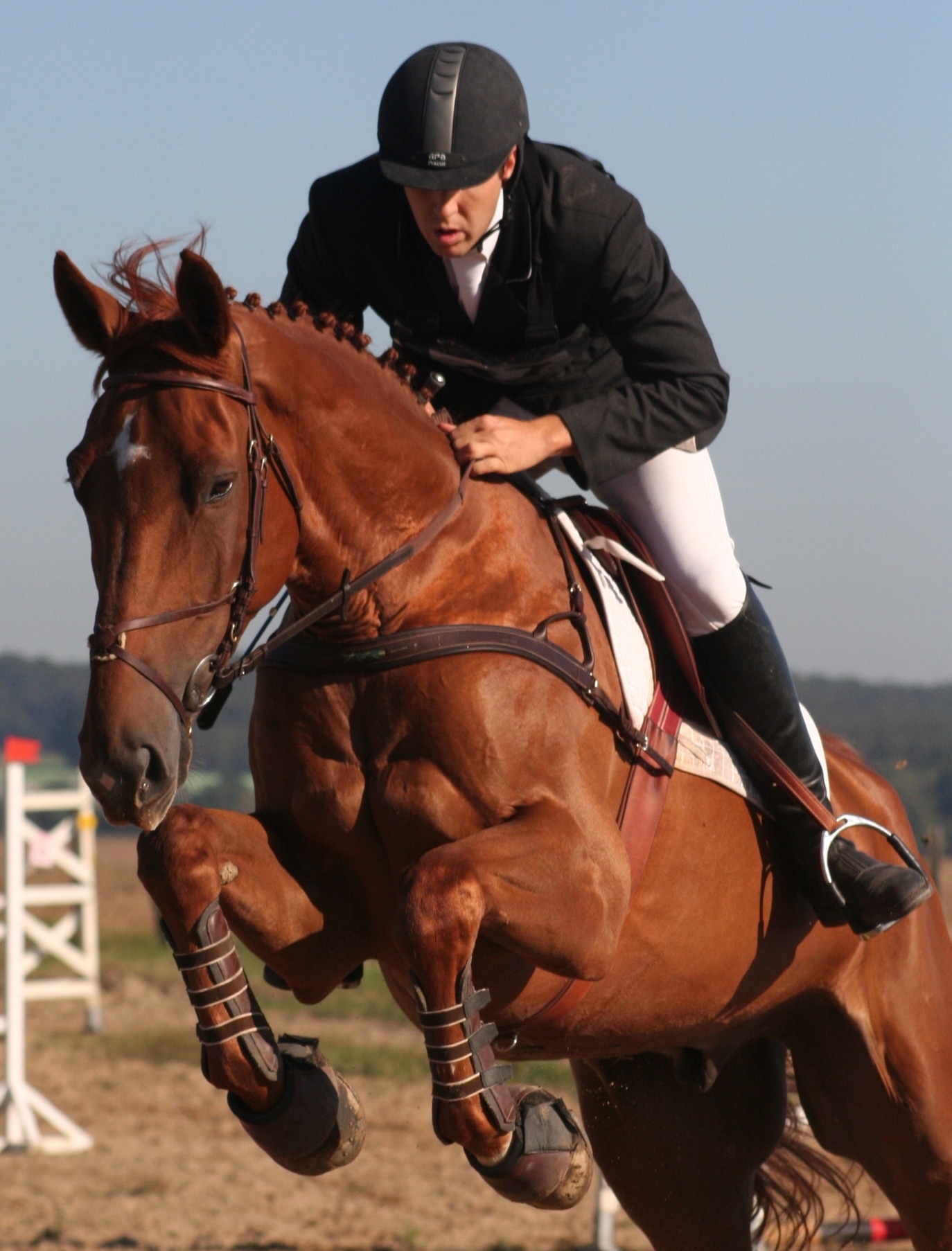 {{brizy_dc_image_alt imageSrc=